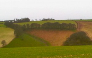 No time to stop. Tour de France riders will rush past many of these Wolds views, but other visitors should linger