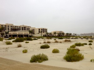 Park Hyatt Abu Dhabi and turtle nesting zone