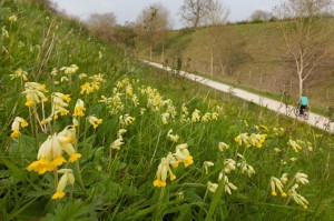 Tissington Trail - heading north from Ashbourne