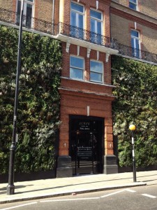 "Living wall" at J.Crew, Sloane Sq, London, July 2014