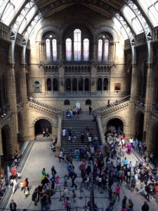 Shrewsbury's famous son Charles Darwin, centre picture, centre stage at the Natural Hisatory Museum