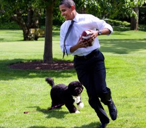 President Obama with Bo, the rescue Portuguese water dog